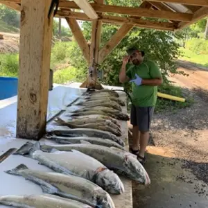 IMG_2069 Medium.jpeg