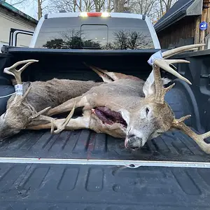 Media 'IMG_3159.webp' in category 'Hunting Gallery'